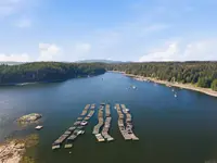 View 85