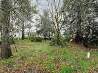 View 19