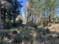 View 27