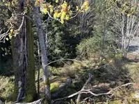 View 28