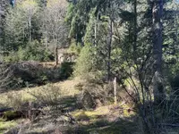 View 24