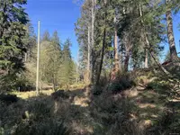 View 30