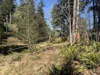 View 29