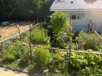 View 56