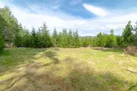 View 85