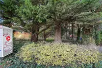 View 17