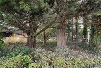 View 19