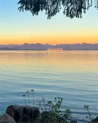 View 88