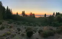 View 46