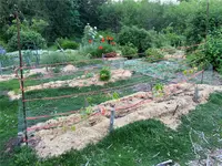 View 43