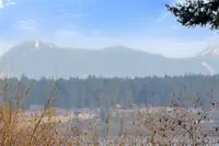 View 41