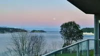 View 19