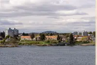 View 24