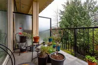 View 24
