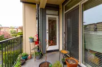 View 25