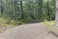 View 53