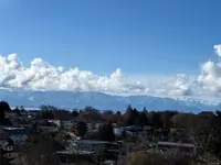 View 39