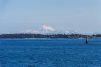 View 38