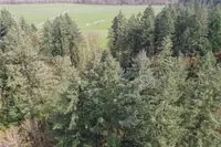 View 59