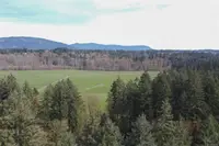 View 60