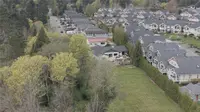 View 43