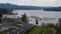View 41