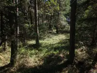 View 13