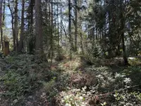 View 12