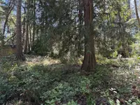 View 10