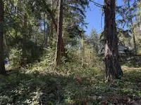 View 11
