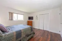 View 60