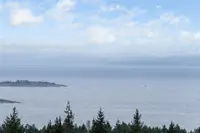 View 42