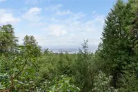 View 45
