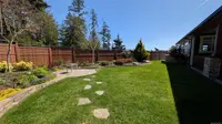 View 65