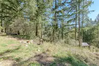 View 31
