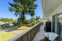View 23