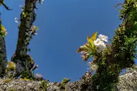 View 66