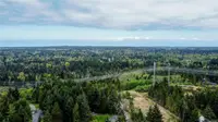 View 66