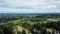 View 65