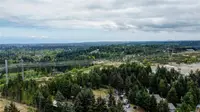 View 64