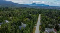 View 81