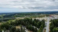 View 63