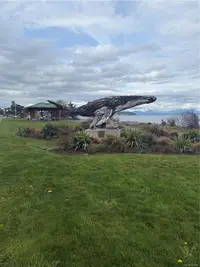 View 18