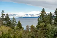 View 67