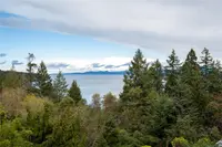 View 66