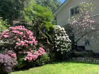 View 26