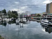 View 42