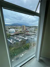View 31
