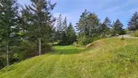 View 53
