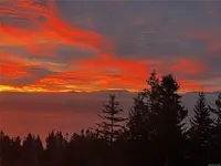 View 37